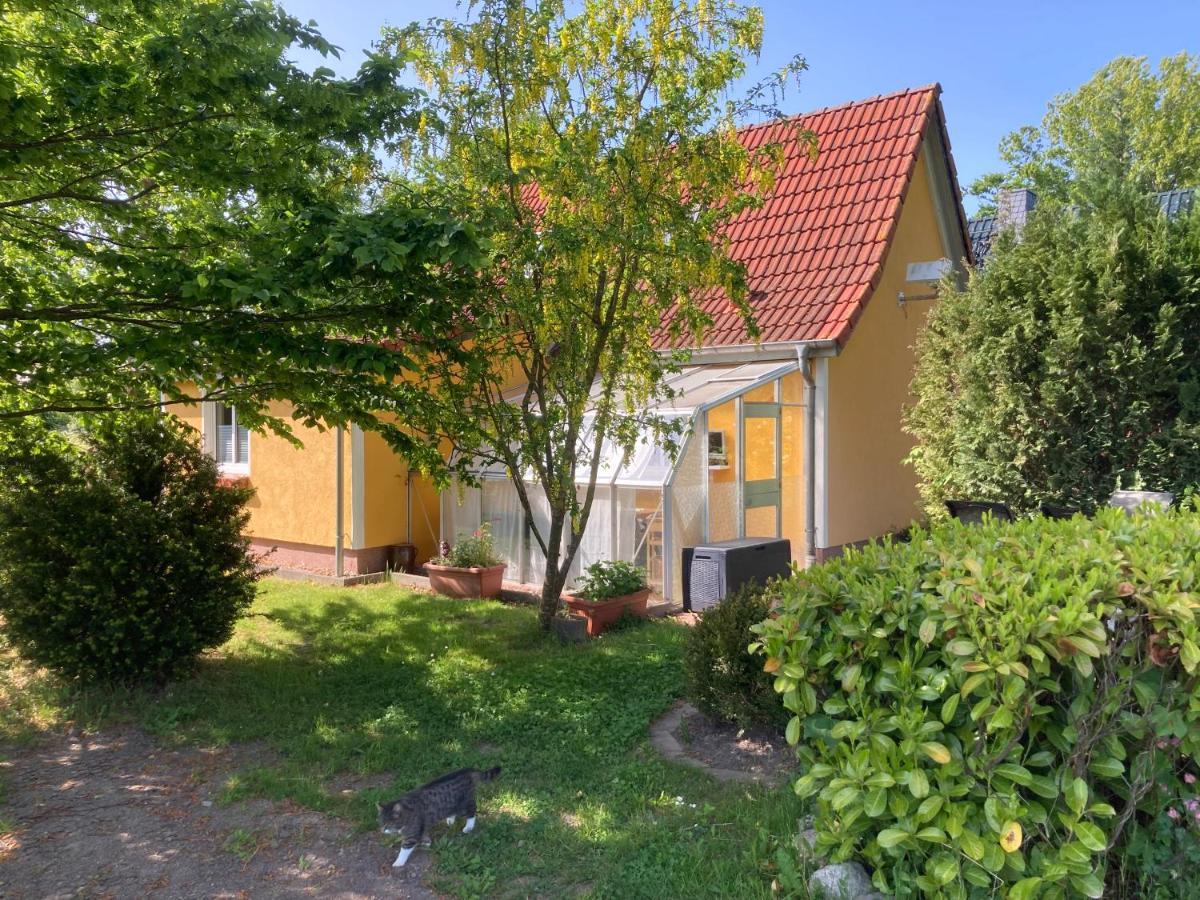 Ferienhaus -Villa Huehnerstall- Hessenburg Eksteriør billede